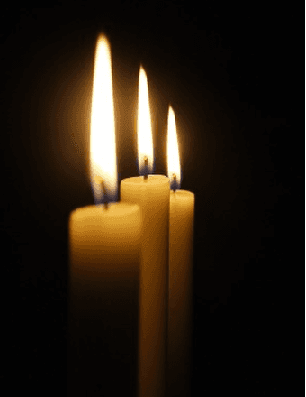 Lloyd Lynn Carr Obituary