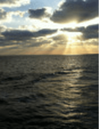 Mr.  Otis  Gene Branam Obituary