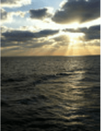 Mr.  Michael  Wayne Lambdin Obituary