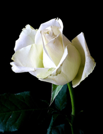 Betty Mae (King) Osborne Obituary